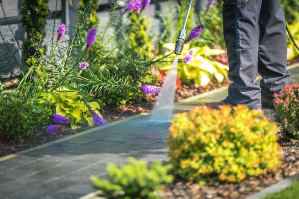 Reliable Glade Spring, VA Pressure Washing Services Solutions